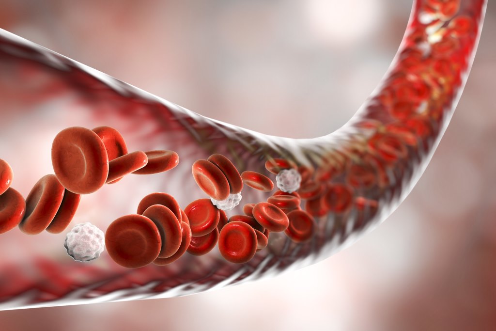 Rote Blutkörperchen in einem Blutgefäß